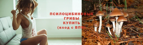 прущий лед Балабаново