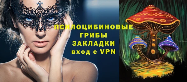 крисы Баксан