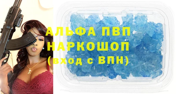крисы Баксан