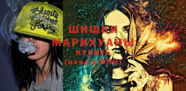 крисы Баксан